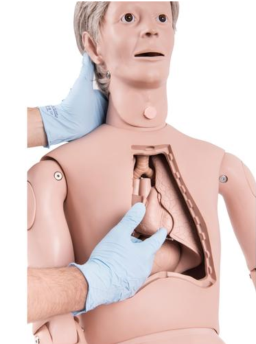 Patient Care Manikin PRO P10/1