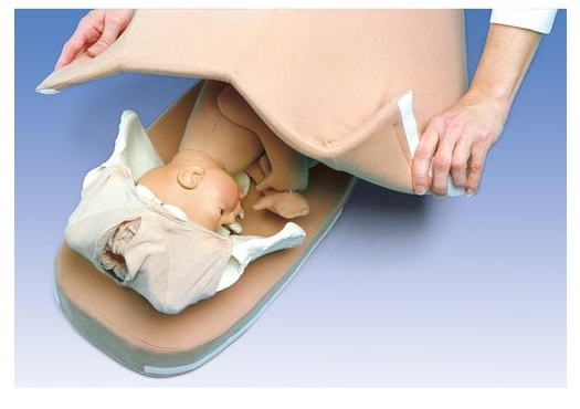 Palpation Model for Leopold's