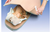 Palpation Model for Leopold's