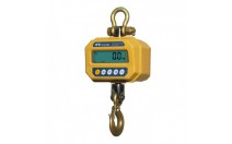 매달림 전자저울